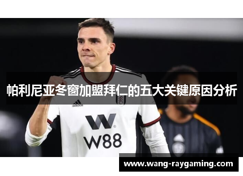 帕利尼亚冬窗加盟拜仁的五大关键原因分析