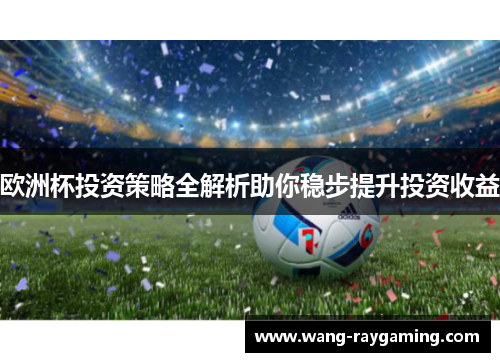 欧洲杯投资策略全解析助你稳步提升投资收益