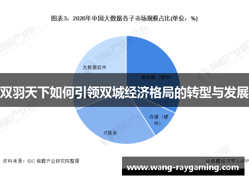 双羽天下如何引领双城经济格局的转型与发展