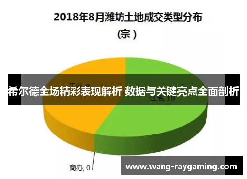 希尔德全场精彩表现解析 数据与关键亮点全面剖析