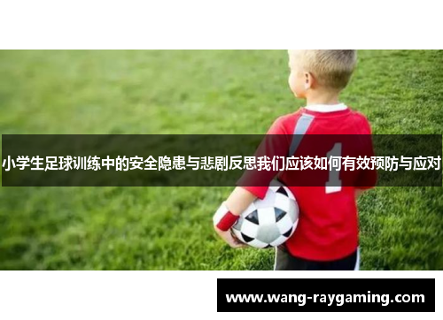 小学生足球训练中的安全隐患与悲剧反思我们应该如何有效预防与应对
