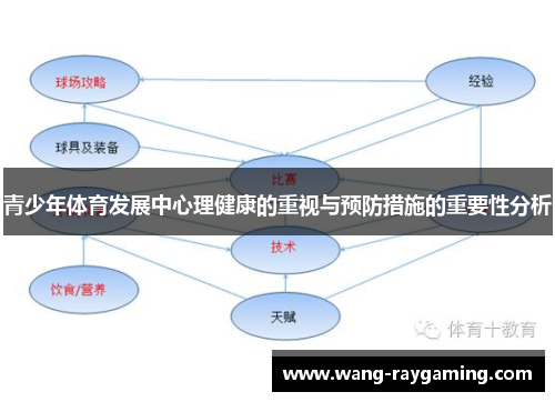 青少年体育发展中心理健康的重视与预防措施的重要性分析