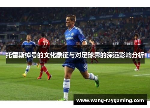 托雷斯绰号的文化象征与对足球界的深远影响分析 托雷斯绰号的文化象征与对足球界的深远影响分析