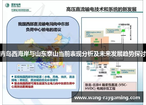 青岛西海岸与山东泰山当前表现分析及未来发展趋势探讨