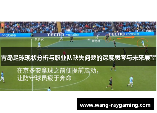 青岛足球现状分析与职业队缺失问题的深度思考与未来展望