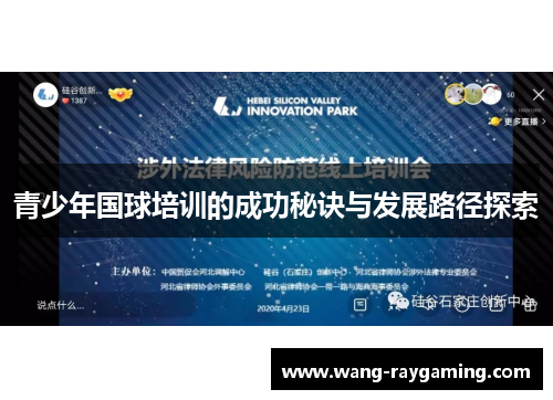 青少年国球培训的成功秘诀与发展路径探索